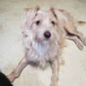 Meet your Posher, Alythea